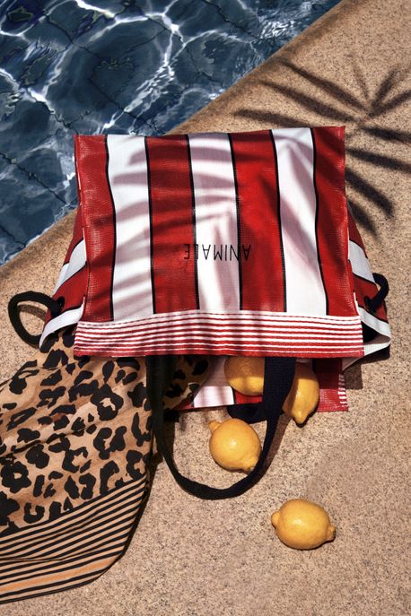 Bolsa Anml Vermelha Vermelho Mistico / Azul Canes / Branco - U